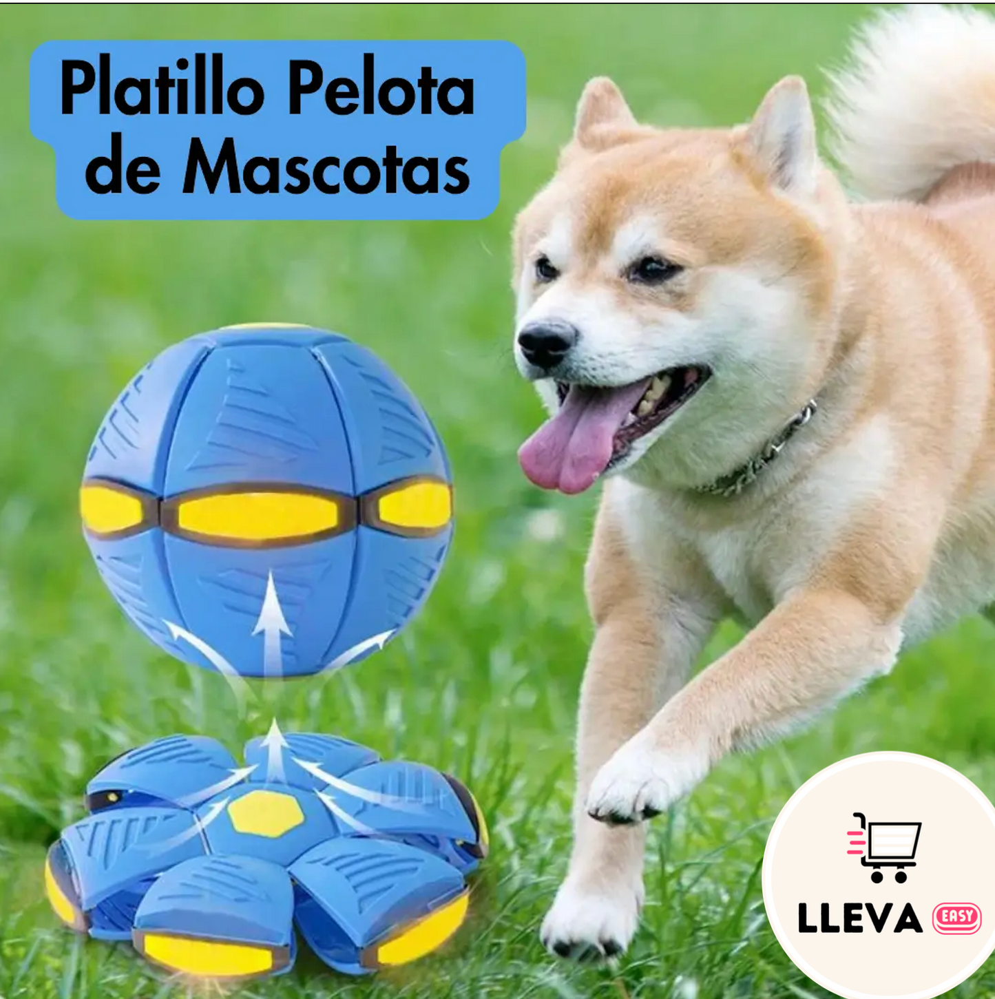 FloyBall™ - PELOTA DE FRISBEE DE PERRO