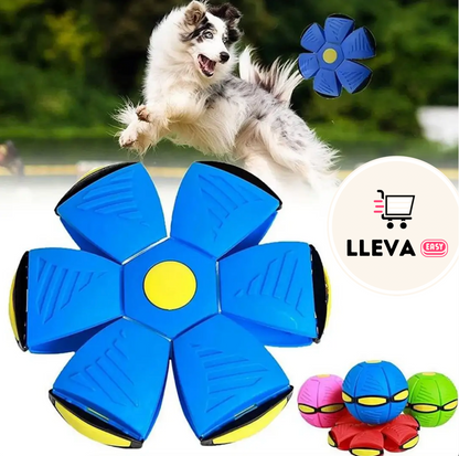 FloyBall™ - PELOTA DE FRISBEE DE PERRO