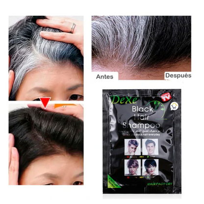 Shampoo Cubre Canas Color Negro Caja X12